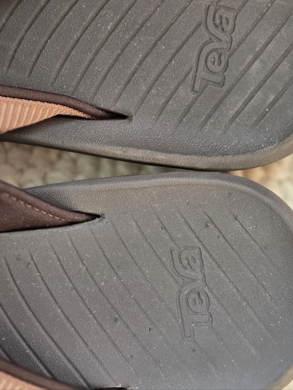 Teva Hurricane Classic Web Thong  Flip Flop In Bison US 9
